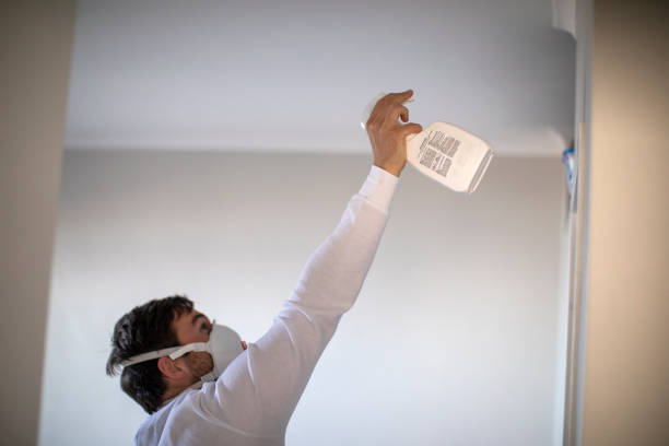 Best Black Mold Removal  in Maywood, CA