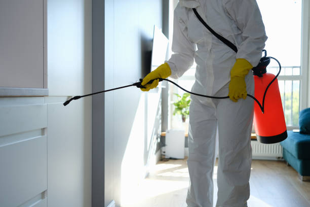Best Mold Damage Repair  in Maywood, CA