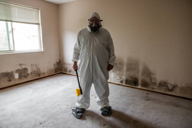 Best Commercial Mold Removal  in Maywood, CA